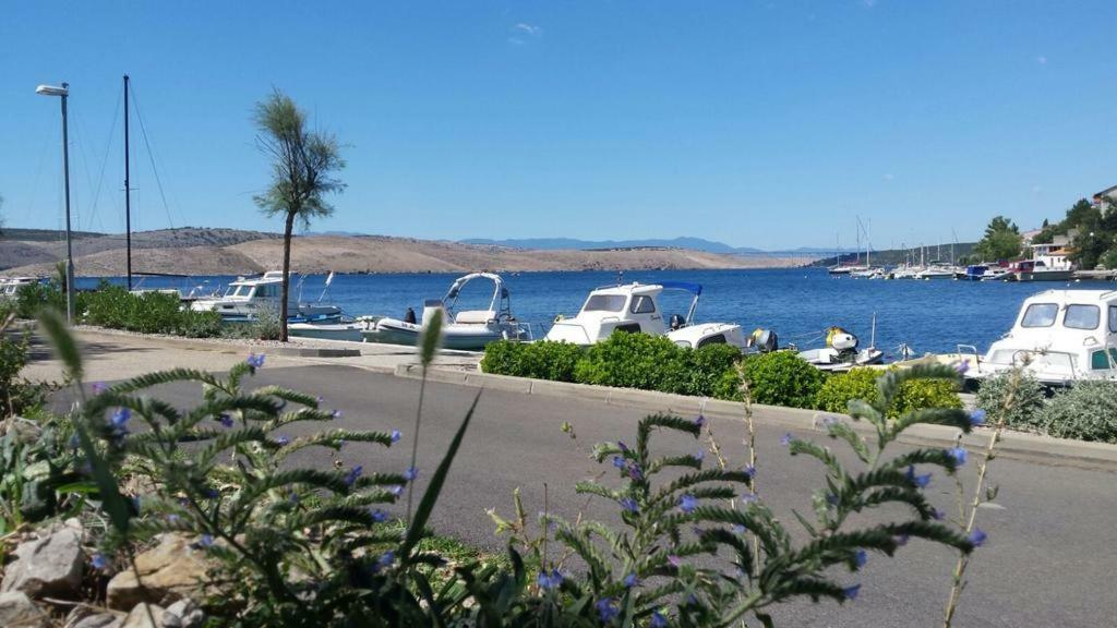 Apartman Valentic Διαμέρισμα Jadranovo Εξωτερικό φωτογραφία